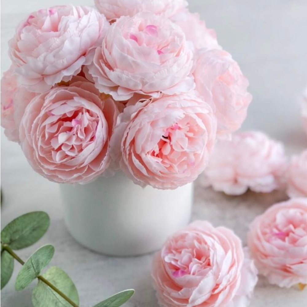 Many different varieties to choose from